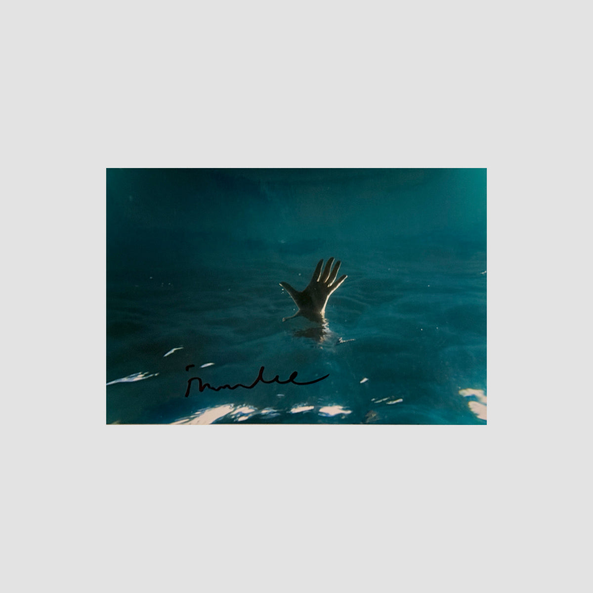 ionnalee signed photo #2