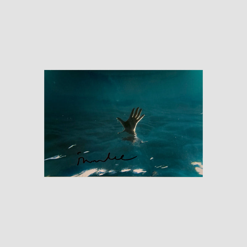 ionnalee signed photo #2