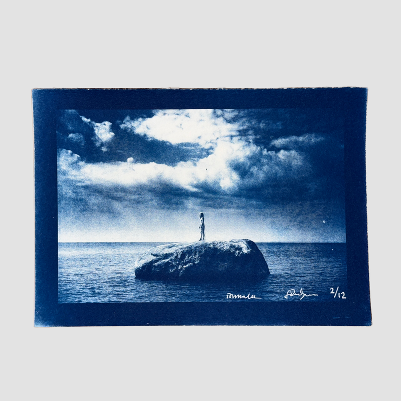 ISLAND cyanotype 2 of 12