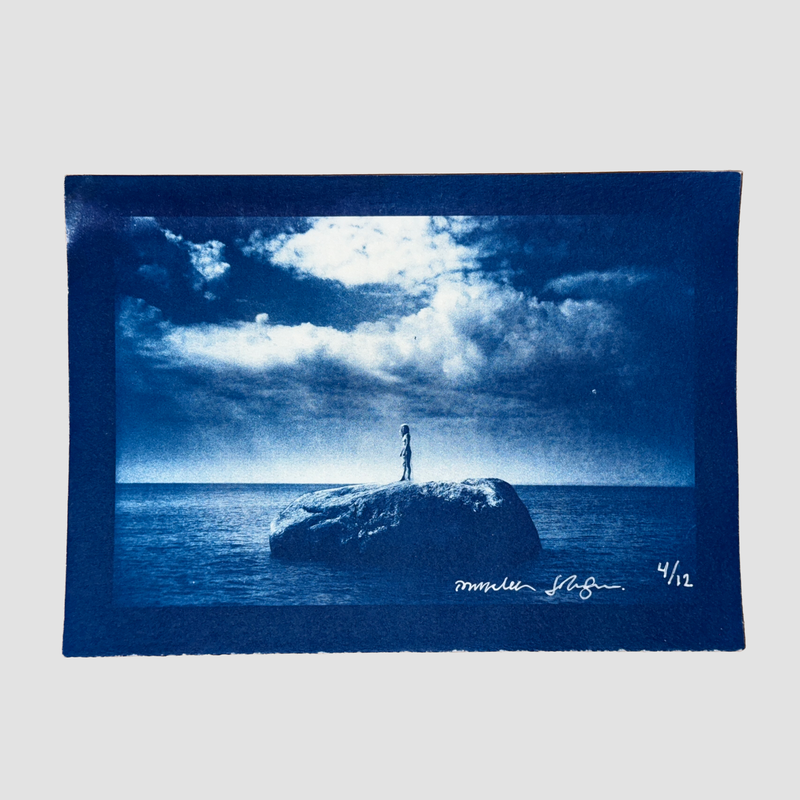 ISLAND cyanotype 4 of 12