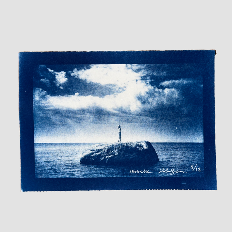 ISLAND cyanotype 5 of 12