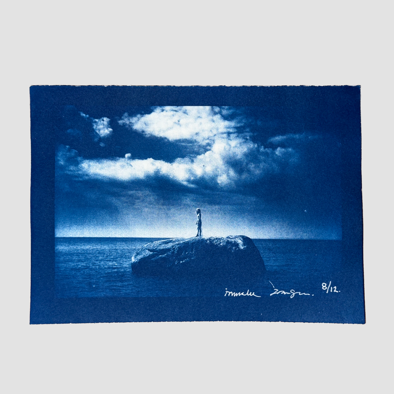 ISLAND cyanotype 8 of 12