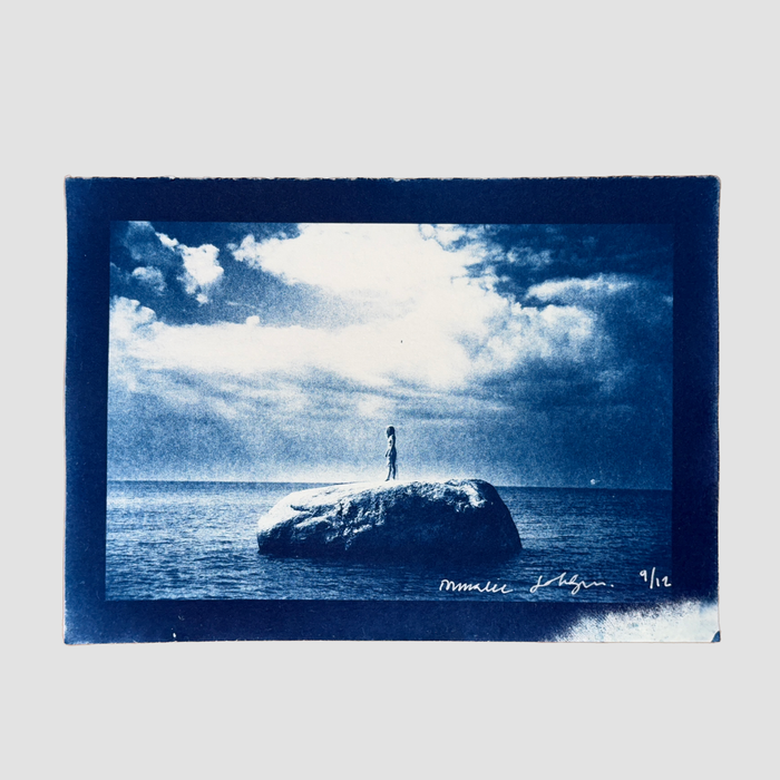 ISLAND cyanotype 9 of 12